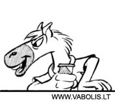 small horse avatar